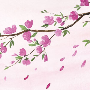 花びらの舞う桜デザイン。